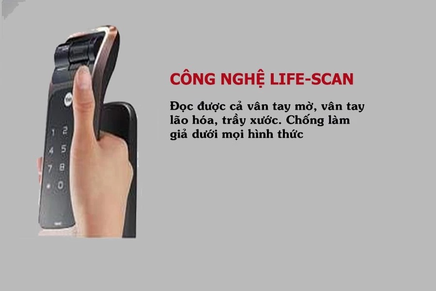 KHÓA CỬA YALE YMG 40 RED-BRONZE